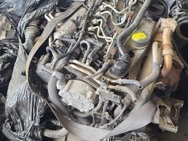 Mercedes-Benz Sprinter Tik variklis ir deze