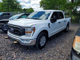 Ford F-150, 3.3 l., pikapas