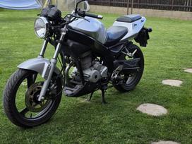 Daelim Roadwin 125cc, choppers / cruisers / custom