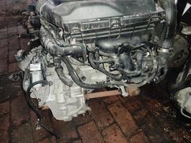 Citroen C4 Picasso Tik variklis ir dėžė