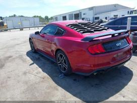 Ford Mustang, 5.0 l., kupė (coupe)