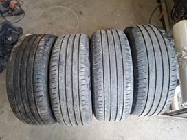 Pirelli, vasaras 205/55 R16