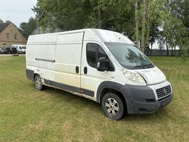 Fiat Ducato, krovininiai mikroautobusai