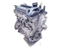Kia Rio, G4LA, tepalai, alyvos