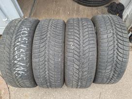 Sava ESCIMO ICE, žieminės 205/55 R16