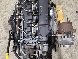 Ford Transit, CYFF, engine