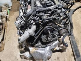Mercedes-Benz Sprinter, 651958, gearbox, clutch kit, engine