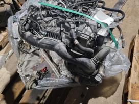 Ford Fiesta, B7JB, gearbox, clutch kit, engine