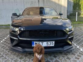 Ford Mustang, 2.3 l., Купе (coupe)