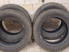 Tigar, зимние 205/60 R16