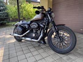 Harley-davidson Sportster 883cc, čioperiai /