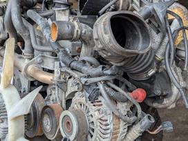 Nissan Navara, YD25, Tik 2 5 dci 128 kw pilnas variklis rida 94 t ml viber w