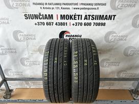 Lassa Greenways, летние 205/55 R16