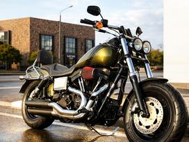 Harley-Davidson Fat Bob 1690cc, choppers / cruisers / custom