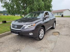 Lexus RX 450h, visureigis / krosoveris