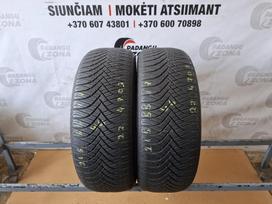 Goodride Z 401, all-season 215/55 R17