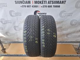 FRONWAY Icemaster I, winter 205/60 R16