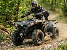 Goes TERROX 400L 400cc, kvadracikli