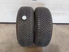 Goodyear Vector 4 season M+S gen3, universalios 205/60 R16