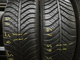 Goodyear Vector 4 season, universalios 185/65 R15