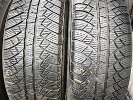 Sunny, universalios 185/65 R15