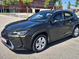 Lexus UX 250h, 2.0 l., off-road / crossover