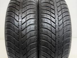 Nexen N-Blue 4Season 2020m, universalios 185/65 R15