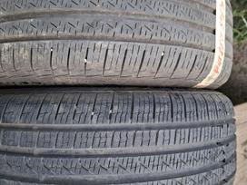 Pirelli, vasarinės 225/45 R18