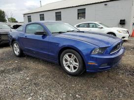 Ford Mustang, 3.7 l., coupe