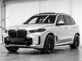 BMW X5, visureigis / krosoveris
