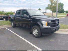 Ford F-150, 3.3 l., pikapas