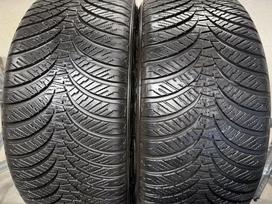Falken Euroall season as210, universalios 245/45 R19
