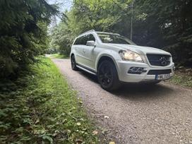 Mercedes-benz Gl450, 4.7 l., visureigis /