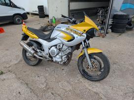 Yamaha TDM, kruīza / touring