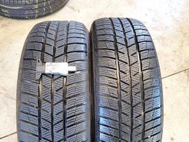 Barum Polaris 5, winter 175/65 R15