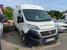 Fiat Ducato, commercial