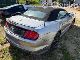 Ford Mustang dalimis. Ardome dalimis spalvos kodas js išrašome sąskaitas