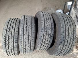 Kelly, vasaras 225/60 R17