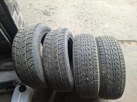 Falken, vasaras 215/65 R16