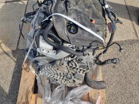 Citroen Jumper, 4HH, gearbox, engine