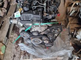 Hyundai Santa Fe, D4HB, редуктор, коробка передач, двигатель