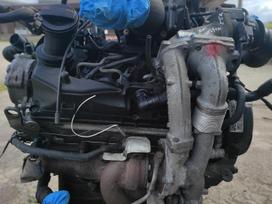 Volkswagen Transporter, pasažieru mikroautobuss