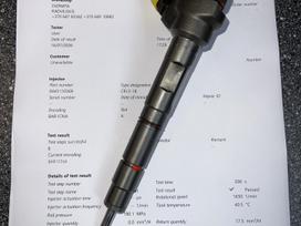 Volkswagen Amarok, 0445110369, injection system