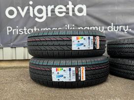 Ovation VI-289 | 2023 METŲ, летние 185/70 R13