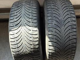 Nexen Winguard, žieminės 225/50 R17