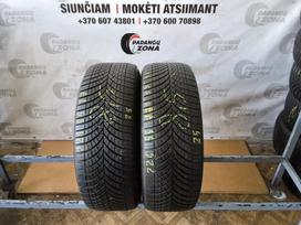 Goodyear Vector4saasons cargo, universalios 225/55 R17
