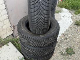 Semperit, всесезонные 235/65 R17