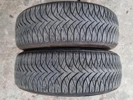 Westlake All Season Elite Z 401, universalios 195/65 R15