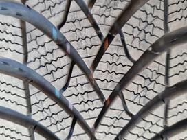 Semperit Speed-Grip 5, winter 195/65 R15