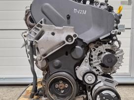 Volkswagen Golf, CUNA, variklis